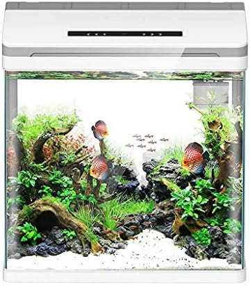 Wjccy mini pametni akvarij betta riba akvarij kreativni lijeni desktop riba spremnik za ribu kući samosvrdljivo staklo donosi
