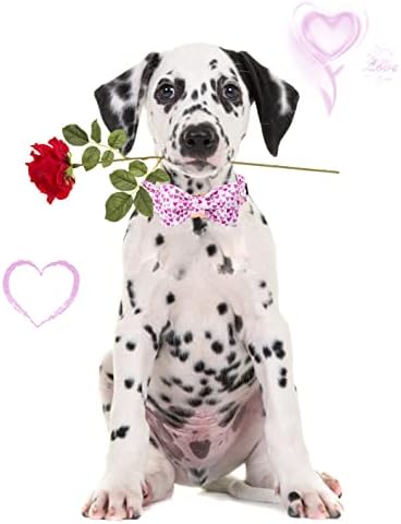 Aring Pet Valentinow Day Ovratnik, preslatki ogrlice za pse, podesivi i ugodni poklon za ovratnik meke ljubavi za male srednje