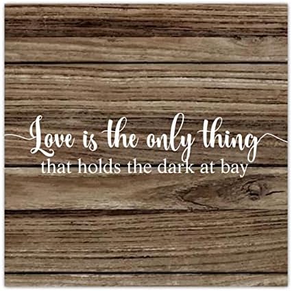 Drveni znak s izrekom ljubav je jedina stvar koja drži mraku u zaljevu rustikalni drveni zidni umjetnički znakovi motivacijski