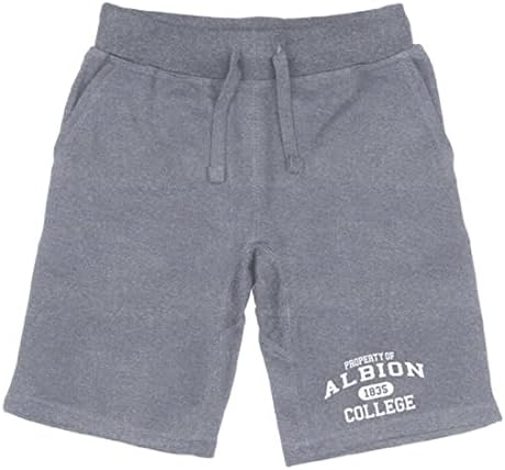 W Republic Albion College Britanci Property College Fleece ShortString kratke hlače