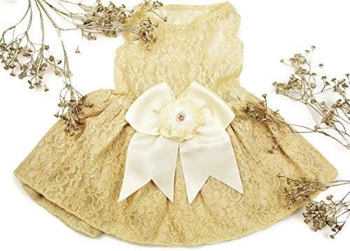 Kuća Furbaby Wedding Cvjetna haljina za pse | Rustica | Pseća vjenčanica | Lace Slonovača haljina za pse