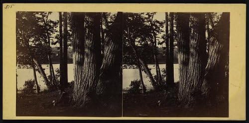PovijesneFindings Foto: Fotografija stereografa, Pogled na Schuylkill, 1862, Coleman Sellers, krajolik, drveće