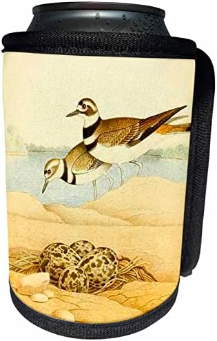 3Drose Vintage Bird Art Killdeer Ptice s gnijezdo jajima. - Omota za hladnjak za hladnjak